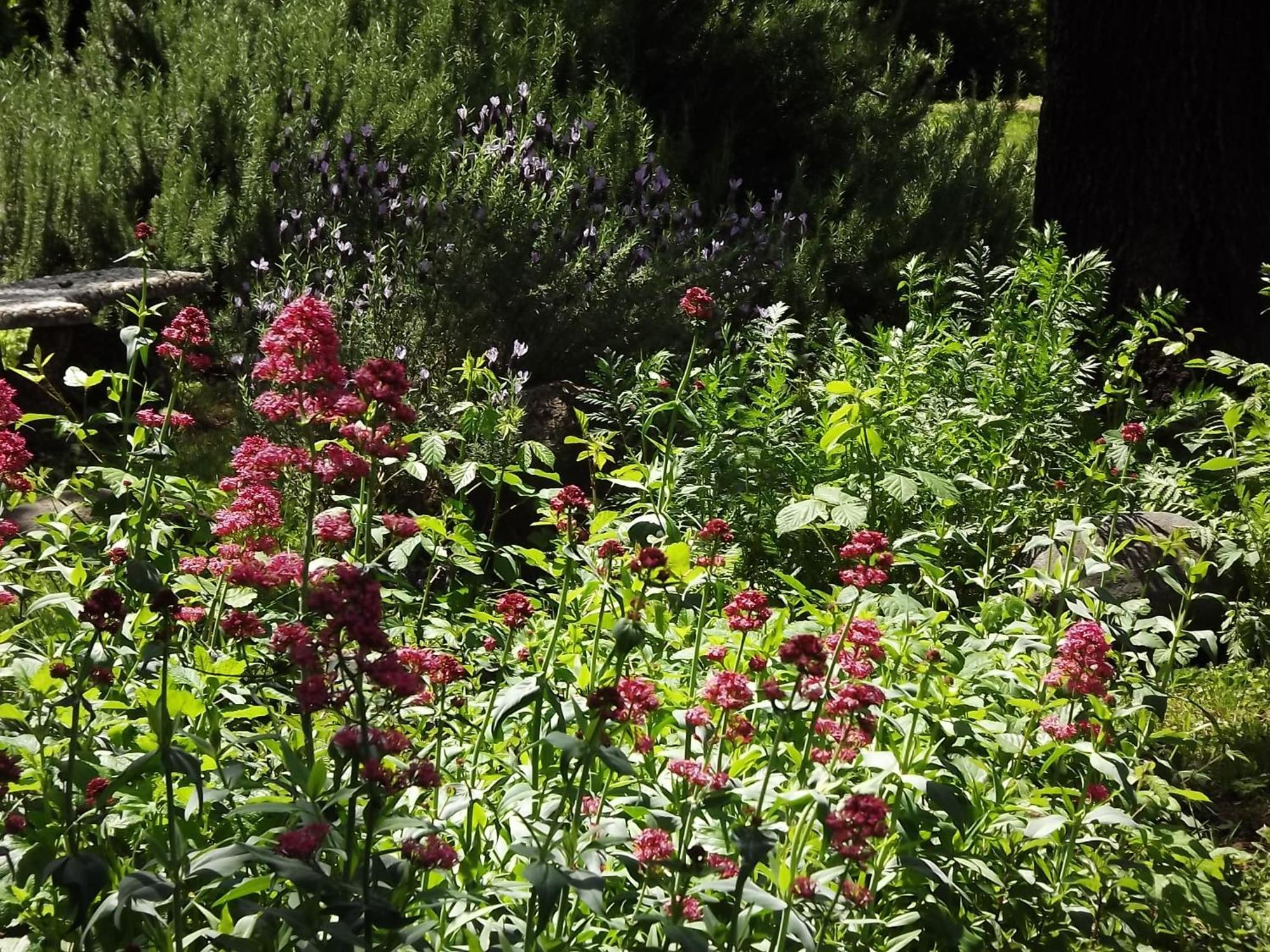 미들타운 Backyard Garden Oasis B&B 외부 사진