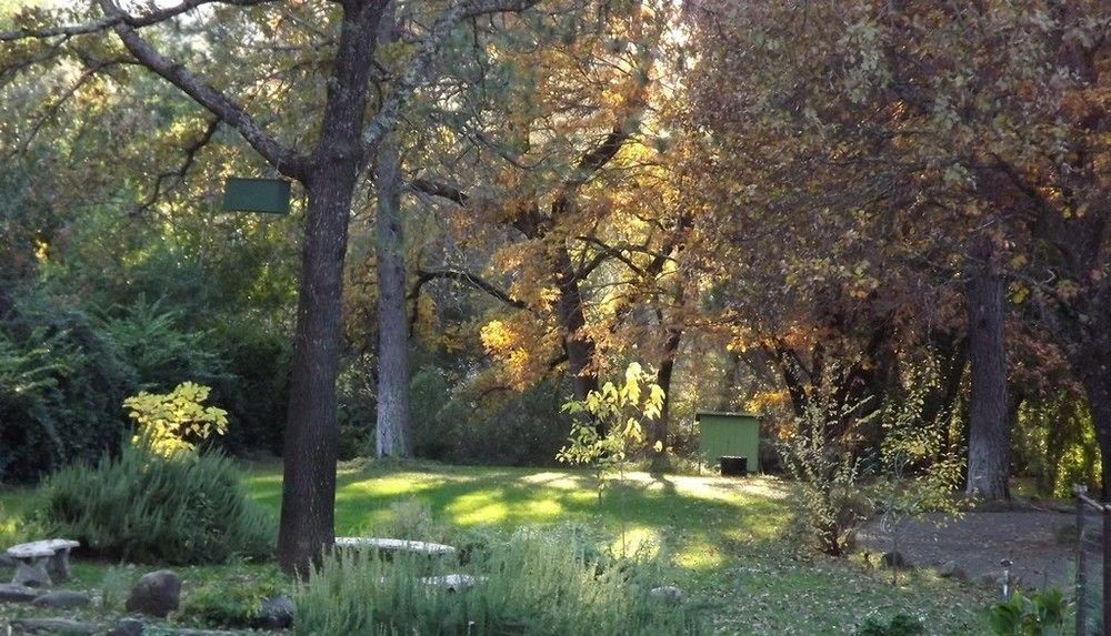 미들타운 Backyard Garden Oasis B&B 외부 사진